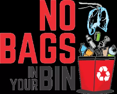 No Bags in Your Bin